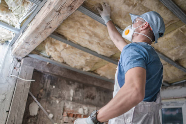 Best Insulation Maintenance and Repair in Galena, IN